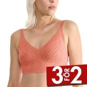 Sloggi BH ZERO Feel Bliss Bralette Aprikos Small Dam