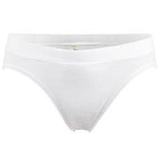 Damella Trosor Brief 17567 Midi Vit bomull Small Dam