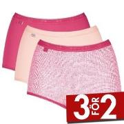 Sloggi Trosor 3P Basic Plus Maxi Colored Flerfärgad-2 bomull 38 Dam