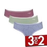 Sloggi Trosor 3P GO Crush Hipster Briefs Blå/Rosa bomull Large Dam