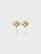 Muli Collection - Örhängen - Guld - Pearl Earring - Smycken - Earrings