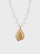 Muli Collection - Halsband - Guld - Seashell Necklace - Smycken - Neck...