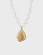 Muli Collection - Guld - Seashell Necklace