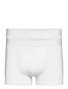 Mutlipack Boxer Brief Modal Boxerkalsonger White Bread & Boxers