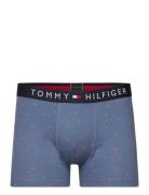 Trunk Print & Sock Set Boxerkalsonger Blue Tommy Hilfiger