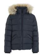 Essential Down Fur Hood Jacket Fodrad Jacka Navy Tommy Hilfiger