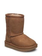 T Classic Ii Känga Stövel Brown UGG