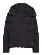 Modern Padded Jacket Fodrad Jacka Black Calvin Klein