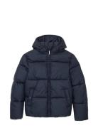 Puffer Winter Jacket With Hood Fodrad Jacka Navy Tom Tailor