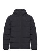 Go Anywear? Quilted Padded Jacket - Fodrad Jacka Black Knowledge Cotto...