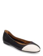 Tarsia Black/Linen Nappa Ballerinaskor Ballerinas Black ATP Atelier