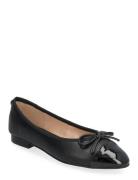 Ellison Ballerina Ballerinaskor Ballerinas Black Steve Madden