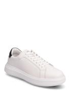 Calvin Klein Low Top Lace Up Lth Vit