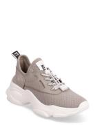 Steve Madden Match-E Sneaker Beige