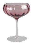 Specktrum Meadow Cocktail Glass - 6 Pack Rosa