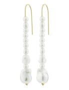 Willpower Pearl Earrings Örhänge Smycken White Pilgrim