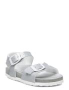 Scholl Sl Dolphin Jelly Patent Silver Silver