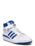 Adidas Originals Forum Mid Vit