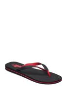 Polo Ralph Lauren Bolt Pony Flip-Flop Svart