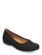 Ballerina Ballerinaskor Ballerinas Black Gabor