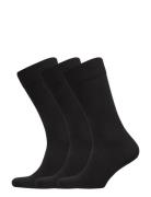 True Ankle Sock 3-Pack Underwear Socks Regular Socks Black Amanda Chri...