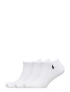 Low-Cut Sock 3-Pack Ankelstrumpor Korta Strumpor White Polo Ralph Laur...