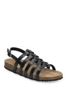 D Brionia F Platta Sandaler Black GEOX