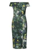 Divena Dresses Bodycon Dresses Green Ted Baker London