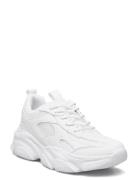 Baggbo Låga Sneakers White Leaf