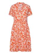 Edasz Ss Dress Knälång Klänning Orange Saint Tropez