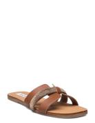 Edriah Sandal Platta Sandaler Brown Steve Madden