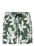 Palm Lei Print Swim Shorts Badshorts Green GANT