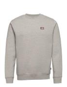 Dickies Oakport Sweatshirt Grå