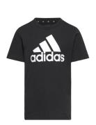 Adidas Sportswear U Bl Tee Svart