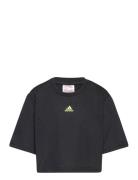 Adidas Sportswear Jg D Crop T Svart