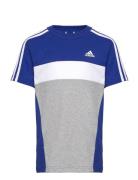J 3S Tib T Sport T-shirts Short-sleeved Blue Adidas Sportswear