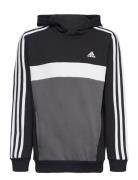 Adidas Sportswear J 3S Tib Fl Hd Svart