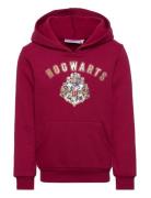 Harry Potter Sweat Kangourou Röd