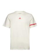 Adidas Sportswear M Bl Col Ss T Beige