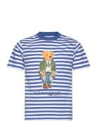 Striped Polo Bear Cotton Jersey Tee Tops T-shirts Short-sleeved Blue R...