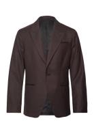 AllSaints Thorpe Blazer Brun