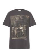 Dog Artwork Tee Tops T-shirts & Tops Short-sleeved Grey Les Coyotes De...