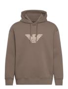Sweatshirt Designers Sweat-shirts & Hoodies Hoodies Brown Emporio Arma...