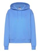 Reg Flag On Chest Hoodie Tops Sweat-shirts & Hoodies Hoodies Blue Tomm...