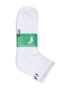 Backtee Ankle Sock Sport Socks Footies-ankle Socks White BACKTEE