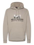 Arctic Ocean Hoodie Tops Sweat-shirts & Hoodies Hoodies Beige Helly Ha...