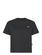 Dickies Oakport Boxy Ss Tee Svart