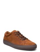 Jermain Suede Trainer Låga Sneakers Brown Polo Ralph Lauren