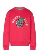 The New Tnjosline Sweatshirt Rosa