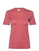 Kari Traa Lucie Tee Rosa